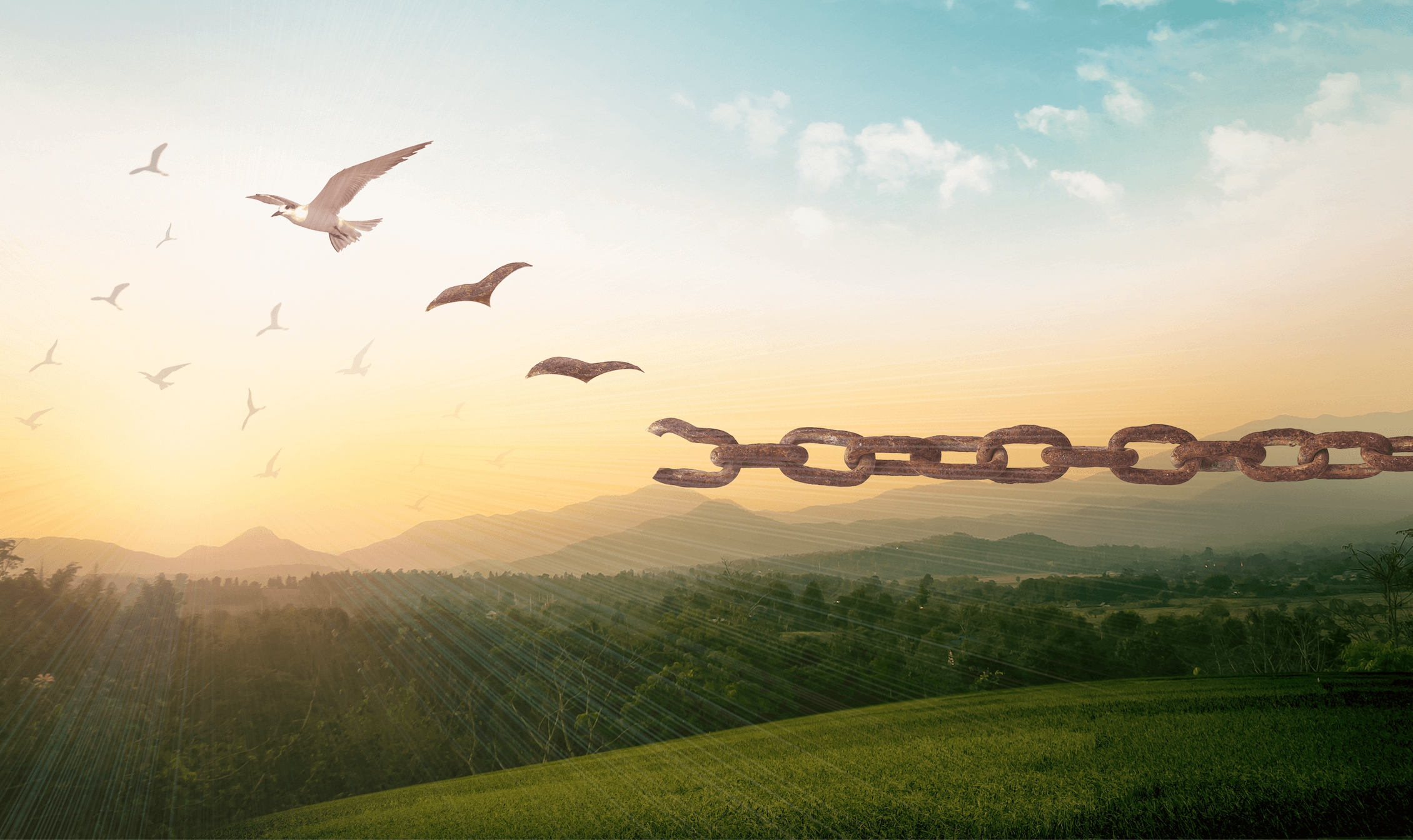 The Life-Changing Power of Letting Go (Part One) | Craig Hamilton