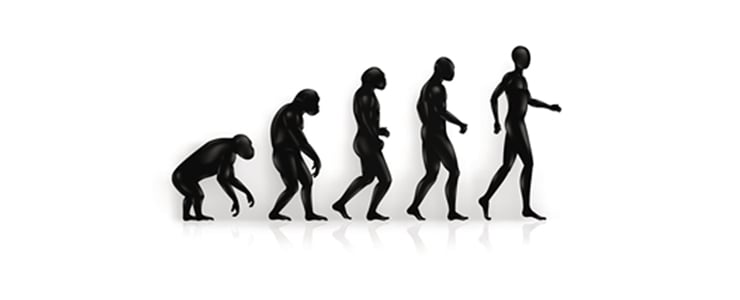 Transcending the Obstacles on the Path