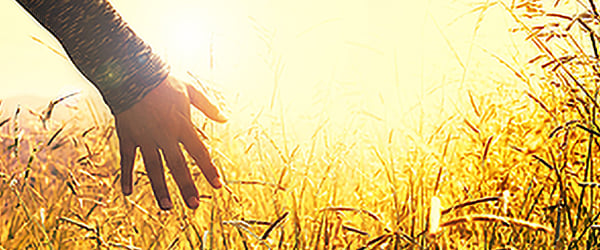 immersionretreat3-cropped