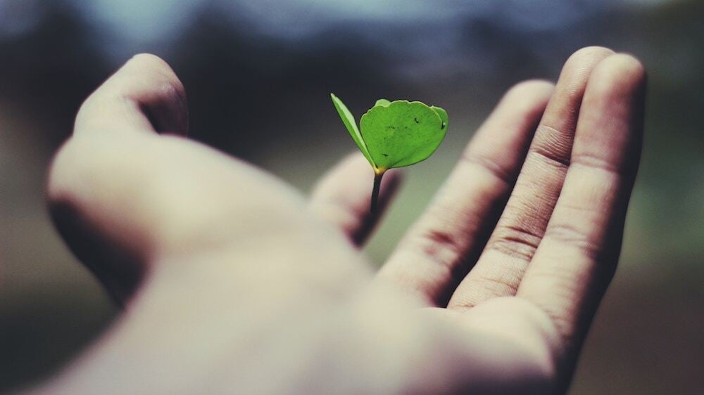 If You're Awake, You're Responsible: The Evolutionary Leadership Challenge