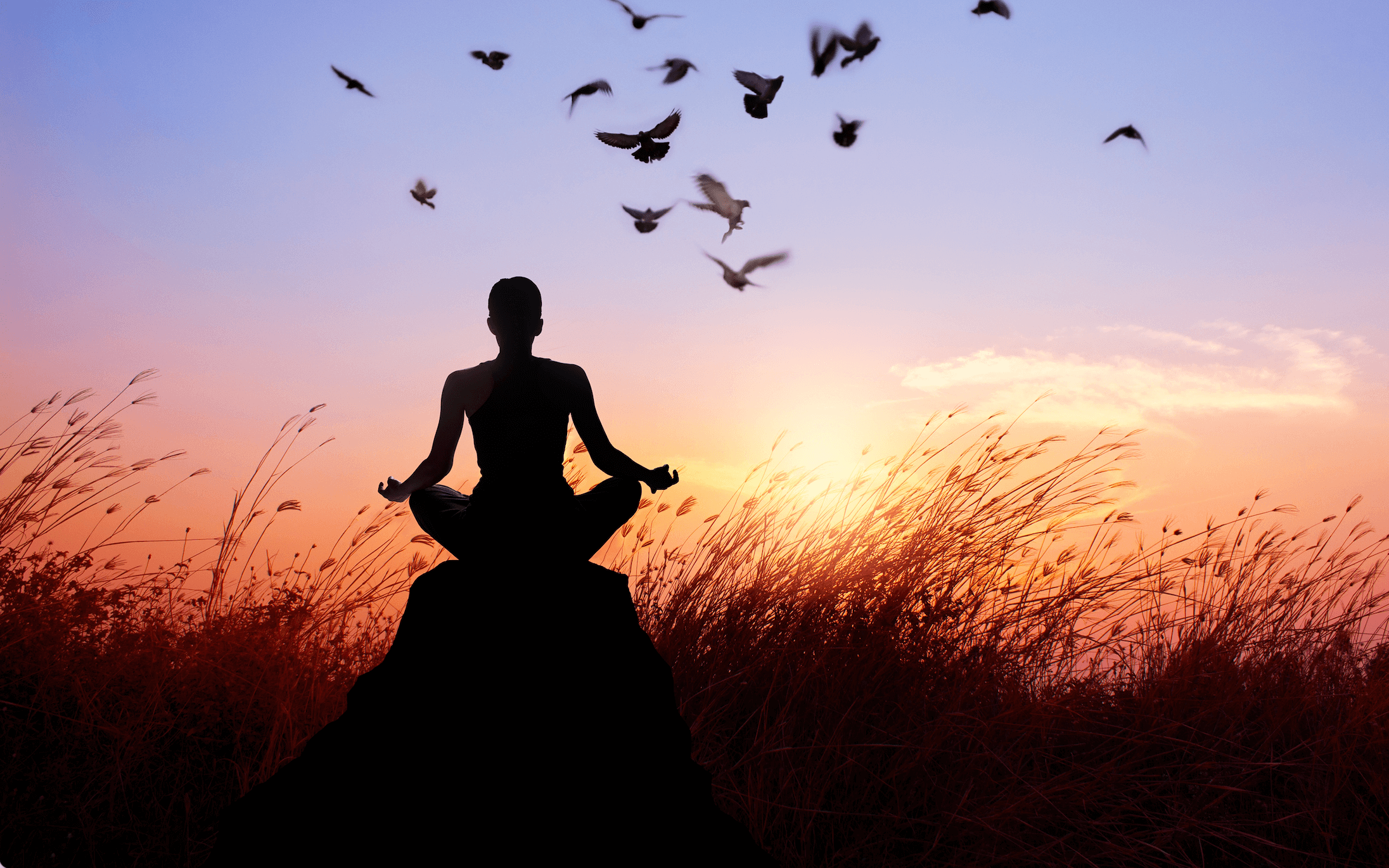 Episode 7 The Life-Changing Power of Letting Go – Part Two