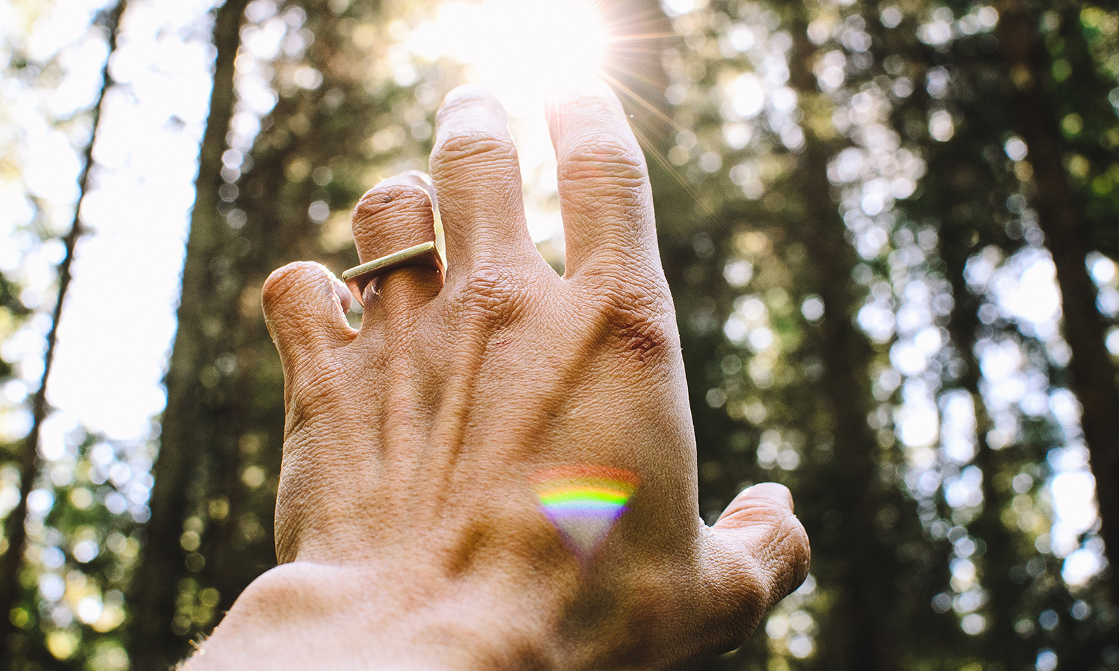 Why Authentic Spirituality Must Transform our Humanity