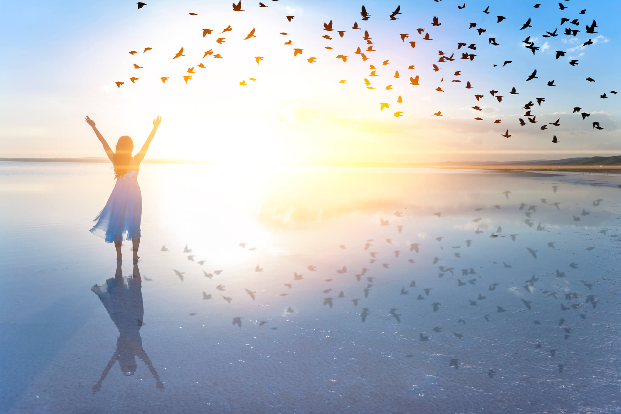 Spiritual Freedom: Discovering Unconditional Happiness