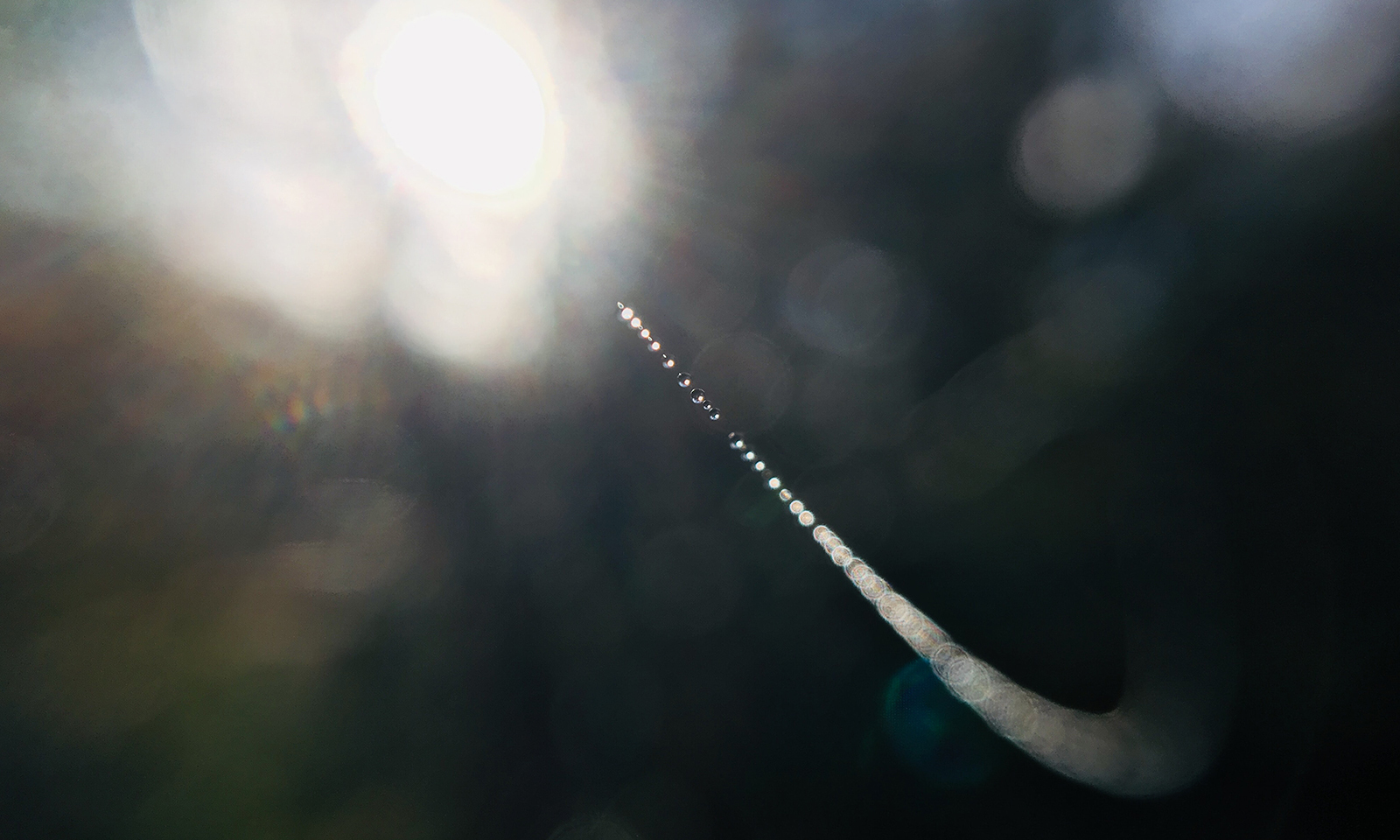 Meditation Mistake #2: Why You Can’t Find Inner Peace by Looking for It (And How to Let it Find You)