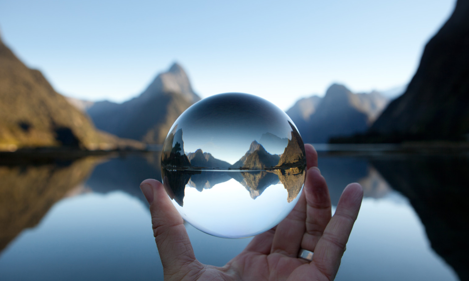What Happens When We Awaken: The Mysterious Discovery of Undivided Wholeness