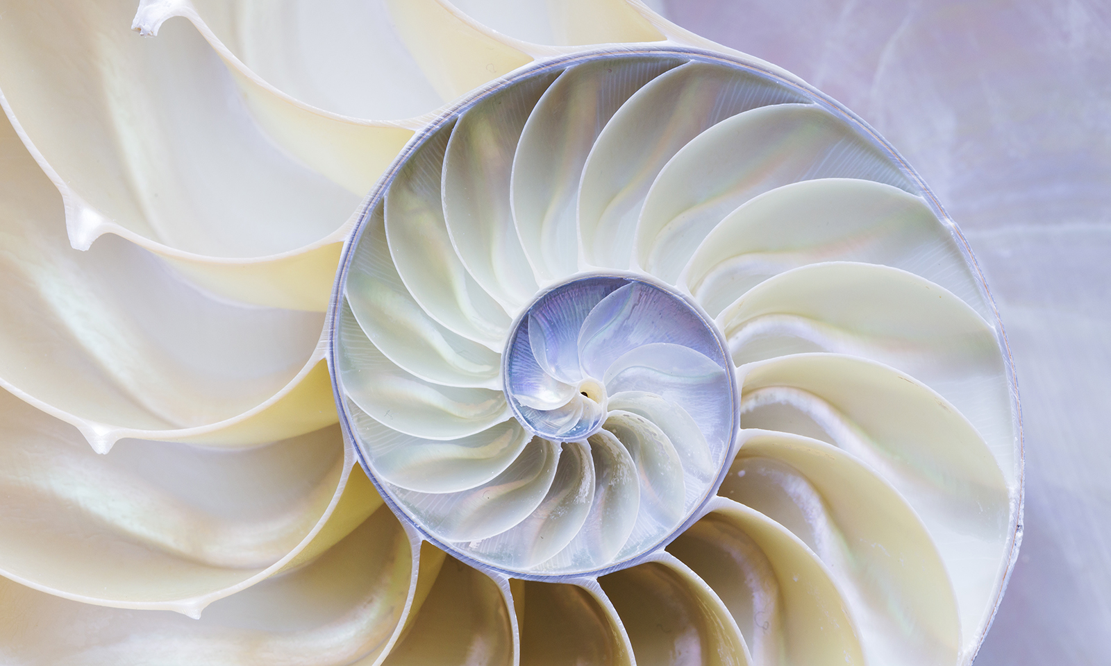 What it Really Means to Consciously Evolve