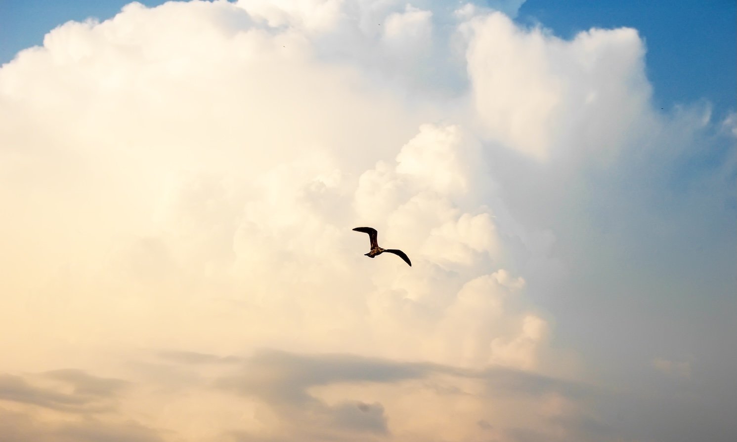 Episode 40 Let It Be: Discovering Freedom Through Surrender Meditation