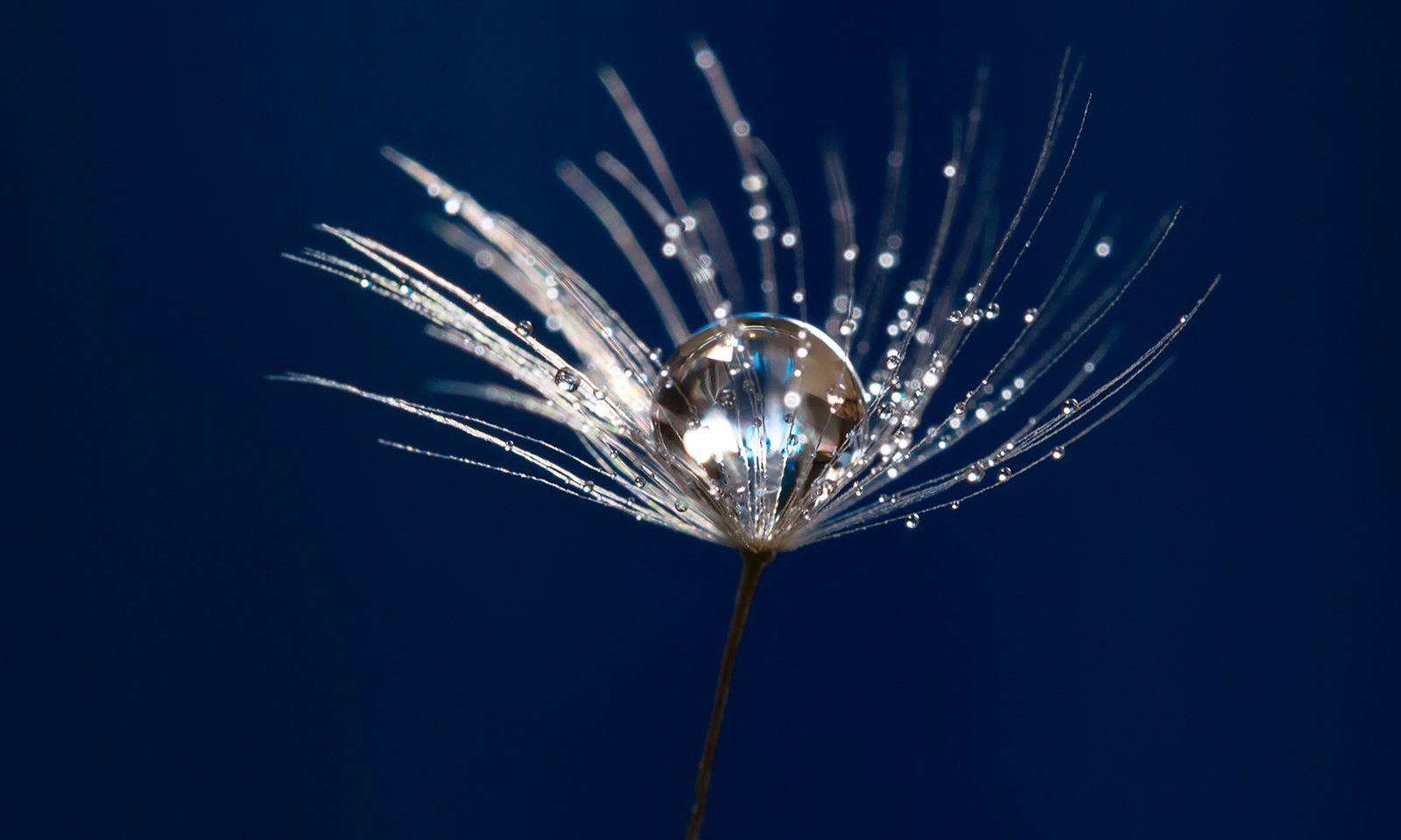 How Meditation Can Help You Uncover Your Own True Nature